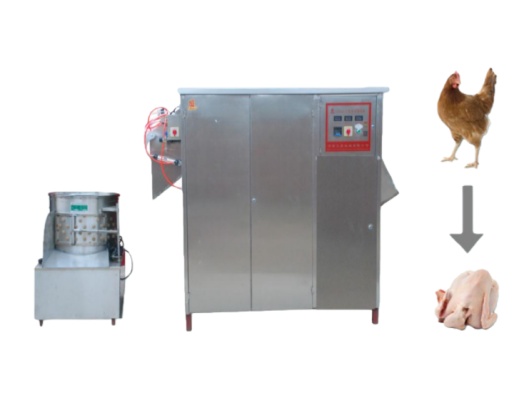 Customer Feedback-Automatic Poultry Plucking Machine